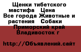 Щенки тибетского мастифа › Цена ­ 80 - Все города Животные и растения » Собаки   . Приморский край,Владивосток г.